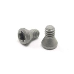 #Y IP7 TORX PLUS SCREW