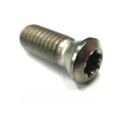 #3,#4 IP20 TORX PLUS SCREW