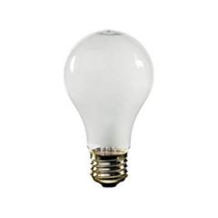 100 WATT ROUGH SERVICE BULB