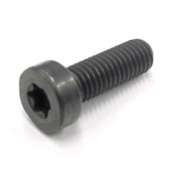 SR M5X15 TORX 25 3