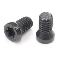 TS-4  M4-0.7x8 T15 TORX INSERT SCREW