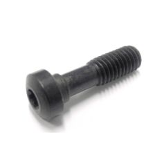 L85021-T15P TORX STYLE CLAMP SCREW