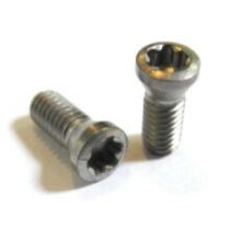 #0 IP8 TORX PLUS SCREW