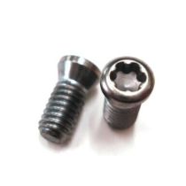 #2 IP15 TORX PLUS CLASS 4H INSERT SCREW