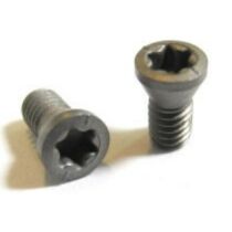 SR 34-505/HG INSERT SCREW 1