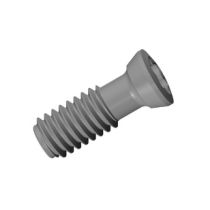 SR M3.5-08134 M3.5-0.6x11.0 TORX SCREW