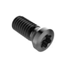 C45011-T20P M5 IP20 TORX INSERT SCREW