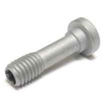 L85020-T15P INSERT SCREW