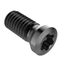 C03008-T09P TORX STYLE INSERT SCREW S