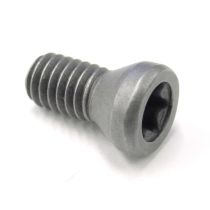 5513-020-09 INSERT SCREW