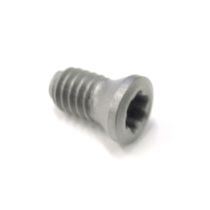 MTS-255 M2.5X.45MM INSERT SCREW